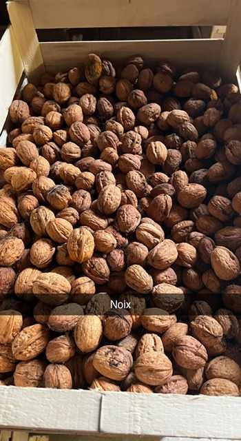 Noix 
