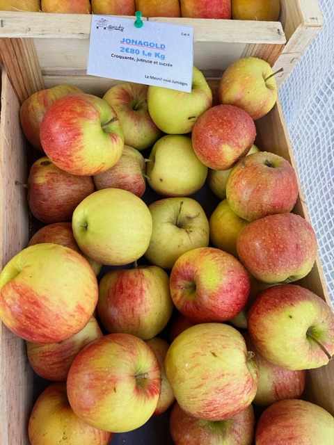 Jonagold 