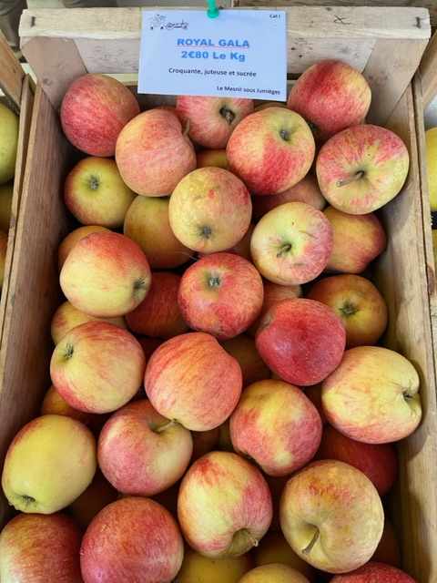 Royal Gala 