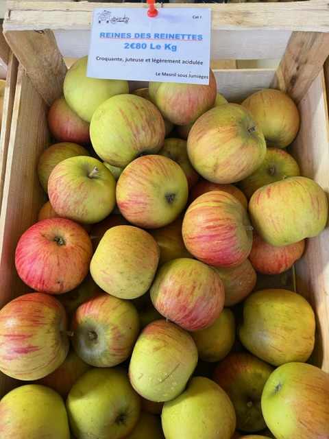 Reine des reinettes 