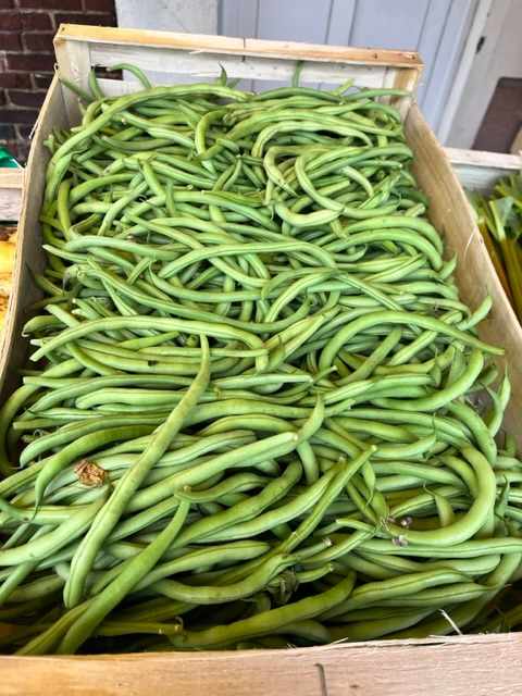 Haricots verts 