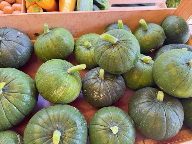 Courgettes ZAPALLITO